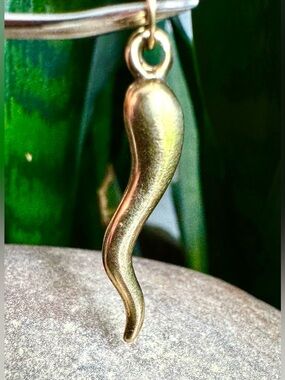 14k Italian Horn Figaro pendant